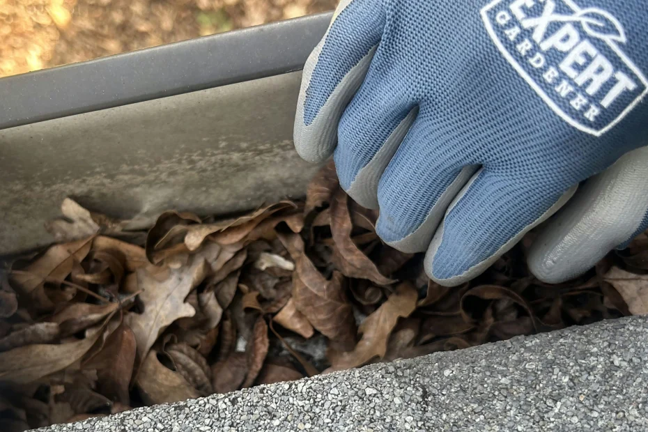 Gutter Cleaning Pleasant Grove